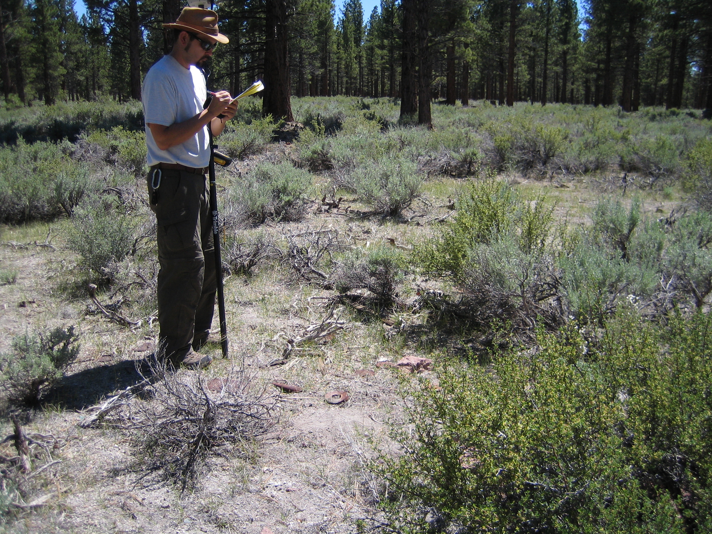fieldwork