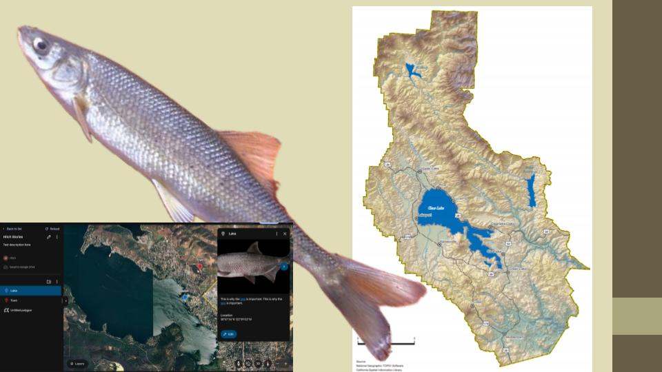 story map slide